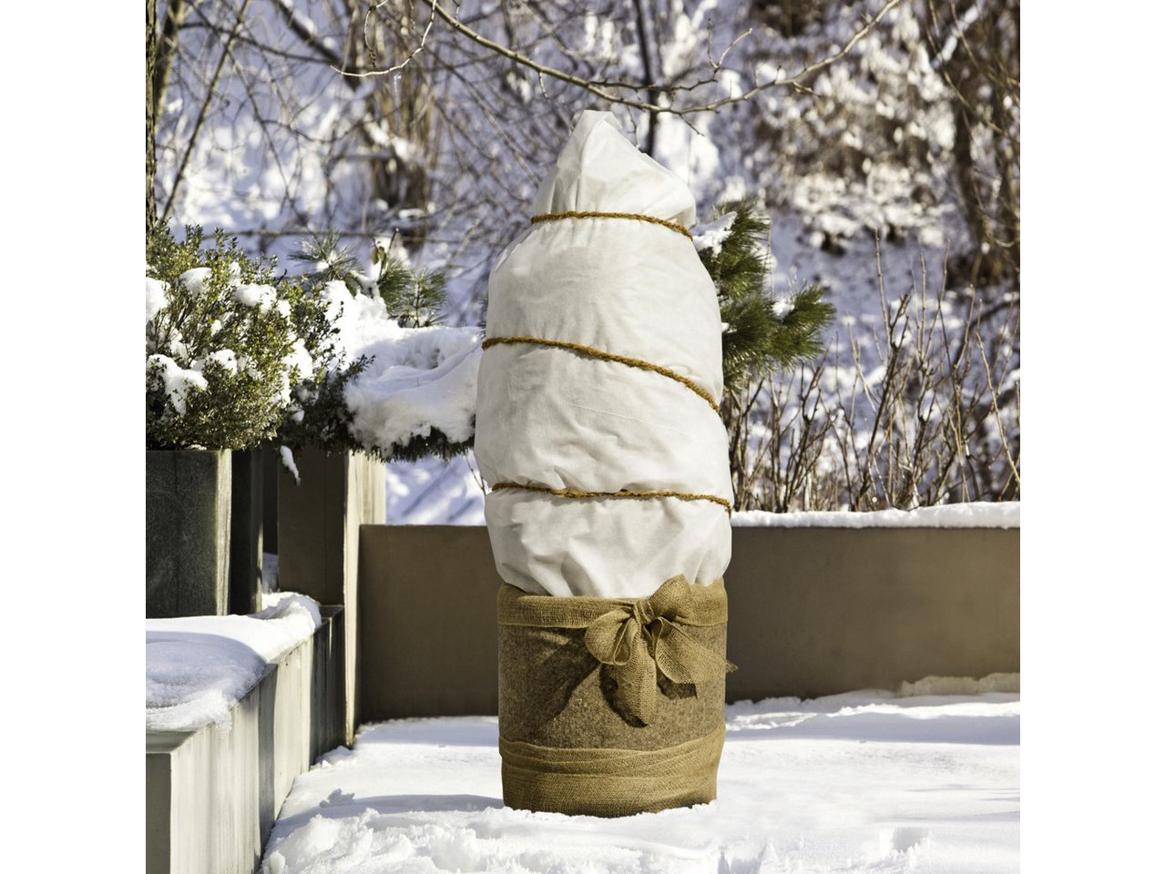 Windhager Wintervlies Windhager Winterschutz für Pflanzen Vlies 1 x 2,5 von Windhager