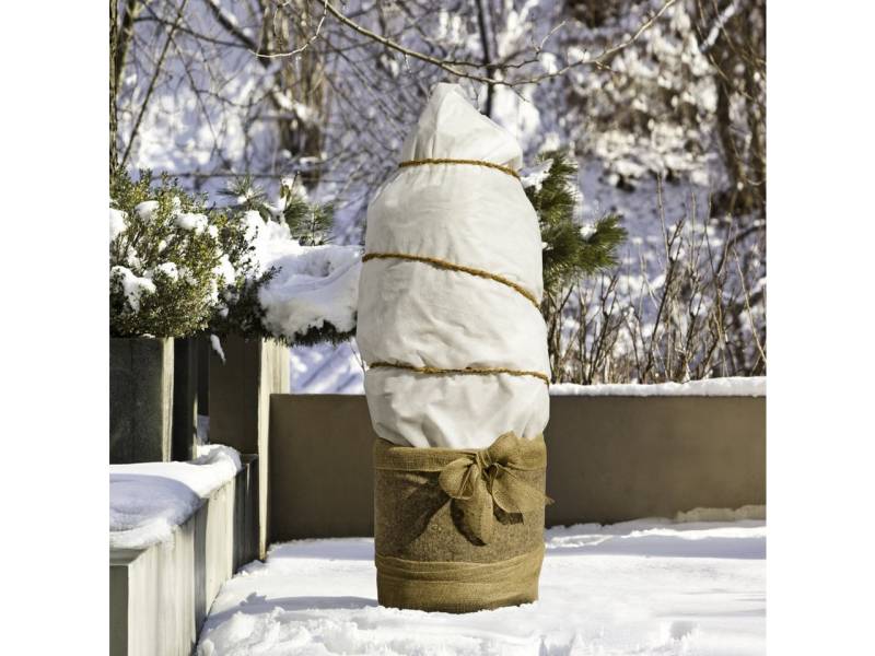 Windhager Wintervlies Windhager Winterschutz für Pflanzen Vlies 1 x 2,5 Windhager Wintervlies Windhager Winterschutz für Pflanzen Vlies 1 x 2,5 von Windhager