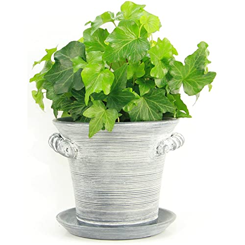 Window Garden Pflanzgefäß mit rustikalem Charme, 15,2 cm, feine Heimdekoration, dekorativer Keramiktopf für den Innenbereich. Für oder Kräuter, Blumen, Sukkulenten. Wunderschön verpackt von Window Garden