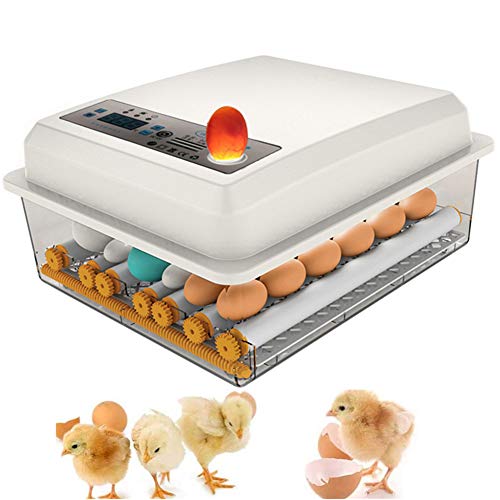 16 Eier Brutmaschine Vollautomatisch Inkubator Hühner Digitales Automatische Wachtel Brutautomat Eierbrutkasten Intelligent Motorbrüter für Huhn Enten Gänse Geflügel Taube Wachtel Eierbrutmaschine von WingFly