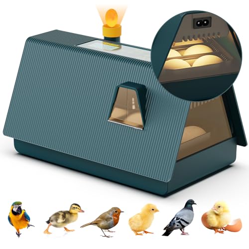 Inkubator Hühner Vollautomatisch, Brutmaschine 10 Eier-Brutapparat mit Display, Temperaturregelung Ei Inkubation Hatcher für Hühnergans, Ente, Taube, Wachtel, Vogel Inkubator Hühner Vollautomatisch, Brutmaschine 10 Eier-Brutapparat mit Display, Temperaturregelung Ei Inkubation Hatcher für Hühnergans, Ente, Taube, Wachtel, Vogel von WingFly