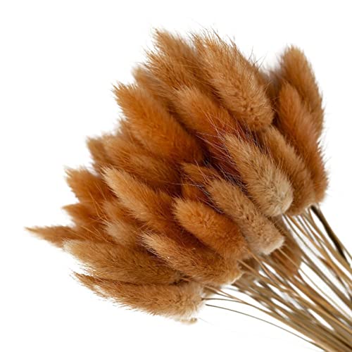 50 Pcs Künstliche Hasenschwänze Pampas Gras Dekor für Home Decor, Kaninchen Schwänze getrocknete Blumen Bouquet für Home Decor Boho Decor Tischdekoration Zimmer Schlafzimmer Dekor (Kaffee) von Wingbind