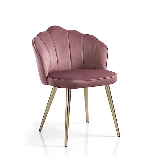 Wink Design Sheffield Pink Set mit 4 gepolsterten Stuhl, Rosa, Gold glänzend, 57x58xH78 cm von Wink Design