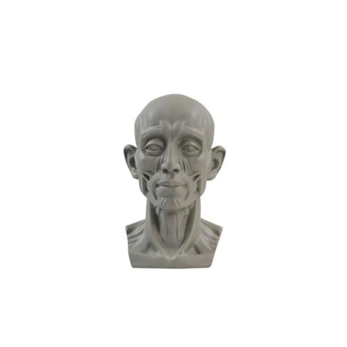 Winkeabuy Gips Portrait Lehrmittel Simulation Flachporträt Version Lernen C7y9 Harz Werkzeug Gips Mini Skizze Praktisch von Winkeabuy