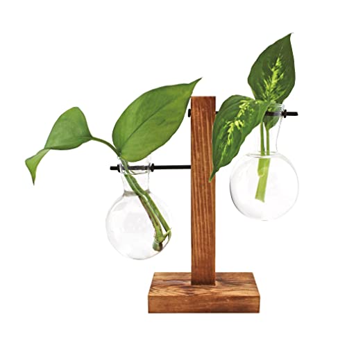 Winkee - Hydrovase Fleur | 2X Blumenvase mit 1x Holz-Ständer | Table Planter | Moderne Deko | Glas Propagation Station | Ableger Pflanzen Glas | Wurzelglasvase | Geschenk zum Muttertag, Geburtstag von Winkee