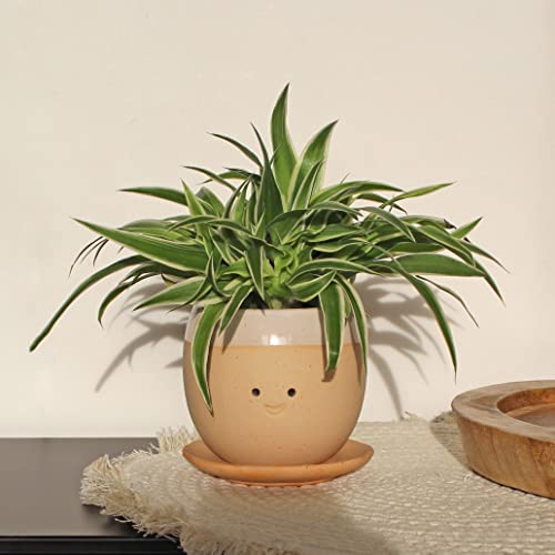 Winkee - Crying Pot Blumentopf | Keramik Blumen-Vase für kreative Dekorationen - modern und elegant | Stilvolle Blumenvase | Hochwertige Dekoration | Geschenk zum Muttertag, Geburtstag, Weihnachten von Winkee