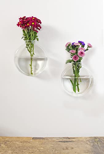 Winkee - Dahlia Wandvasen für Pflanzen 2er Set | Blumentopf für die Wand Hänge-Blumentopf in runder Form | Wall Planter | Glas Propagation Station Hängend | Geschenk zum Muttertag, Geburtstag von Winkee