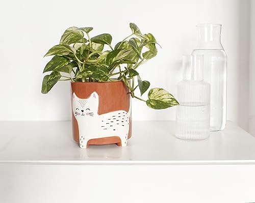 Winkee - Tierischer Blumentopf Katze | Keramik Blumen-Vase für kreative Deko - modern Blumenvase | Hochwertige Dekoration | Geschenk zum Muttertag, Geburtstag, Weihnachten von Winkee