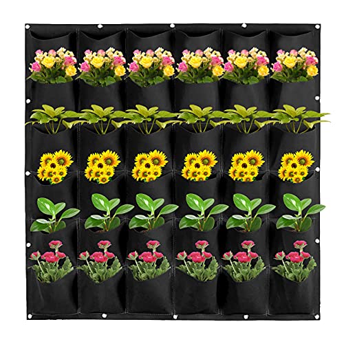 36 Taschen Wand-Pflanzbeutel Vertikale Wand Garten Pflanzer Pflanztaschen Hängend Begrünung Pflanztaschen Beutel Blumen Kräuter Anzucht Container für Garten Hof Heimdekoration von Winmany