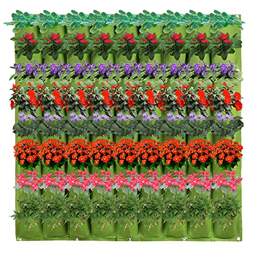 72 Taschen Wand-Pflanzbeutel Vertikale Wand Garten Pflanzer Pflanztaschen Hängend Begrünung Pflanztaschen Beutel Blumen Kräuter Anzucht Container für Garten Hof Heimdekoration von Winmany