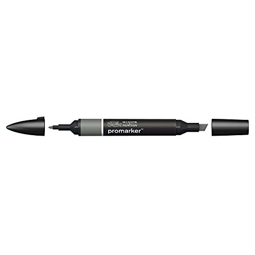 Winsor & Newton 0203377​ ProMarker Professioneller Layoutmarker - 2 Spitzen, fein und breit für Zeichnungen, Design und Layouts - Eis Grau 6 von Winsor & Newton