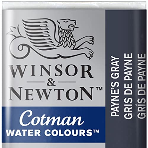 Winsor & Newton 0301465 Cotman Aquarellfarbe mit guter Transparenz, hervorragender Tönungsstärke und guten Maleigenschaften, Wasserfarbe im 1/2 Napf - Paynes Grau von Winsor & Newton