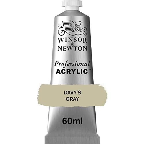 Winsor & Newton 2320217 Professional Acrylfarbe in Künstlerqualität, hohe Farbbrillanz & Deckkraft, Archivqualität, 60ml Tube - Davy's Grau von Winsor & Newton