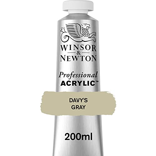 Winsor & Newton 2337217 Professional Acrylfarbe in Künstlerqualität, hohe Farbbrillanz & Deckkraft, Archivqualität, 200ml Tube - Davy's Grau von Winsor & Newton