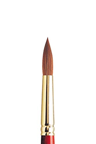 Winsor & Newton 5181712 Sceptre Gold II Künstler Aquarellpinsel mit hoher Farbtragekapazitat & exzellenter Sprungkraft, Serie 101 - Rundpinsel, kurzer Stiel, Nr.12 - 7,9mm von Winsor & Newton