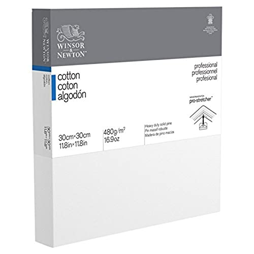 Winsor & Newton Deep Edge Leinwand Profi Baumwolle 30 x 30 cm von Winsor & Newton