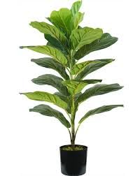 Wintem Künstliche Ficus Lyrata Pflanze aus Polyethylen mit 21 Blättern, 75 cm, Vase mit Moos, dekorative Pflanze für den Innenbereich von Wintem