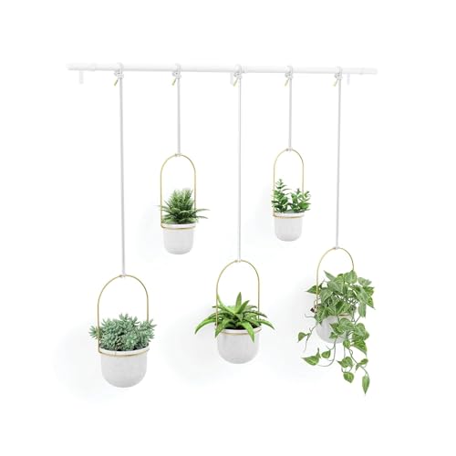 Wintem Set mit 5 weißen hängenden Töpfen mit Stange aus weißem und goldenem Kunststoff – ideal zur Dekoration von Innenräumen oder Balkonen und zum Anbau von Sukkulenten oder aromatischen Kräutern – Wintem Set mit 5 weißen hängenden Töpfen mit Stange aus weißem und goldenem Kunststoff – ideal zur Dekoration von Innenräumen oder Balkonen und zum Anbau von Sukkulenten oder aromatischen Kräutern – von Wintem