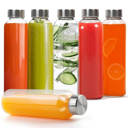 Winter Shore 500 ml Wiederverwendbare Wasserflasche Glas mit Edelstahlkappe [6er-Pack] - Durchsichtiges Auslaufsicheres Trinkflasche Glas Set zum Entsaften, für Heiße & Kalte Getränke & Smoothies von Winter Shore
