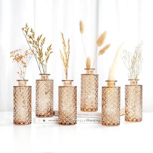 Winter Shore Bernsteinfarbene Diamant-Vasen Deko (6er-Pack) - Knospen Deko Vasen Set - Vintage Vase Glas für Blumen, Pampasgras - Geprägte Rustikale Kleine Vasen für Tischdeko, Hochzeit, Tafelaufsatz von Winter Shore