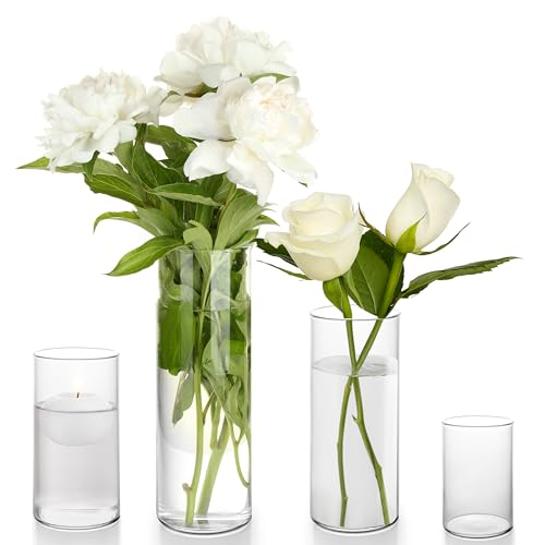 Winter Shore Durchsichtige Vase Glas [4er-Pack] - Glasvase Zylinder in 4 Größen - Hohes Pflanzen-, Blumen-, Pampasgras- & Kerzenhalter Glas - Deko-Vasen Glas für Tafelaufsatz, Party, Zuhause, Hochzeit von Winter Shore