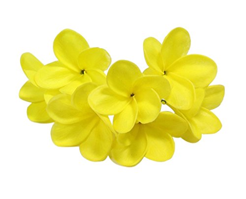 Künstliche Lei-Blumen, hawaiianische Blüten, Latex, für Hochzeitsstrauß, Partys, Feste, 10 Stiele gelb von Winterworm
