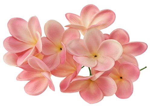 Künstliche Lei-Blumen, hawaiianische Blüten, Latex, für Hochzeitsstrauß, Partys, Feste, 10 Stiele rose von Winterworm