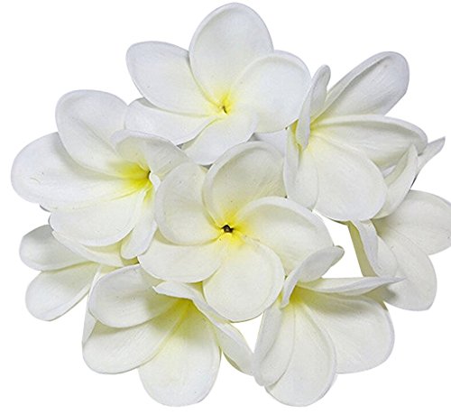 10 Stiele Echte Touch Künstliche Hawaiianische Lei Künstliches Elfenbein Latex Plumeria Flower Bouquet für Braut Hochzeit Party Festival Dekoration Blumenstrauß weiß von Winterworm