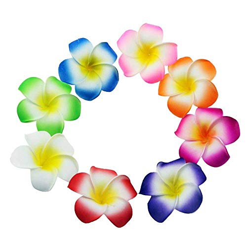 DIY-Dekoration Hawaii Luau Plumeria/ Frangipani, Blüten für Torten, Hochzeiten, Bouquets, 80 Stück von Winterworm