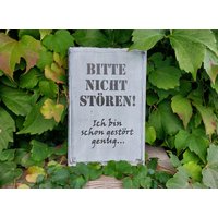 Holzschild "Bitte Nicht Stören - Ich Bin Schon Gestört Genug..." Witziger Spruch | 311 von Wirbelwurm
