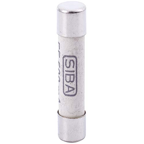 5 SttCk Silber + WeiiE Keramik 1000 V 500 MA 6,3 X 32 Mm WeiiE Keramiksicherung ffr Multimeter 3 x 0,5 x 0,5 Cm von Wisboey