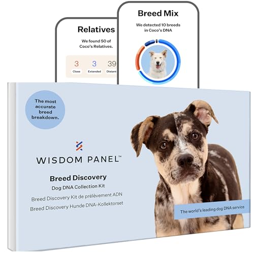 Wisdom Panel zur Feststellung von Hunderassen DNA-Test-Kit – präzise Rassen-ID MDR1 Abstammung Verwandte Wisdom Panel zur Feststellung von Hunderassen DNA-Test-Kit – präzise Rassen-ID MDR1 Abstammung Verwandte von Wisdom