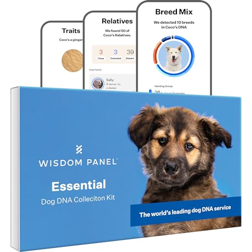 Wisdom Panel Essential – Hunde-DNA-Test für Ahnen, Rassen, Eigenschaften und Gesundheitstests Wisdom Panel Essential – Hunde-DNA-Test für Ahnen, Rassen, Eigenschaften und Gesundheitstests von Wisdom