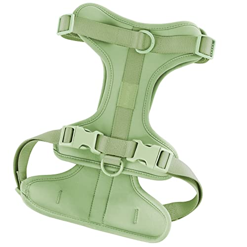 Wisedog Hundegeschirr mit weichem und bequemem Kissen, atmungsaktives Netzgewebe, kein Ziehen, für kleine, mittelgroße und große Hunde, Größe M, Halsumfang: 30 cm,46 cm,71 cm, Salbeigrün Wisedog Hundegeschirr mit weichem und bequemem Kissen, atmungsaktives Netzgewebe, kein Ziehen, für kleine, mittelgroße und große Hunde, Größe M, Halsumfang: 30 cm,46 cm,71 cm, Salbeigrün von Wisedog