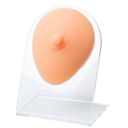 Wisfancy Silikon Brustwarze Modell mit Acryl Stand, Fake Boob Flexible Human Mold, Körperteile für das Üben Piercing Akupunktur Schmuck Display, Simulation Körper Modell (nackt) von Wisfancy