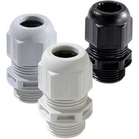 Wiska 10100471 Kabelverschraubung M25 Kunststoff Lichtgrau 3St. von Wiska