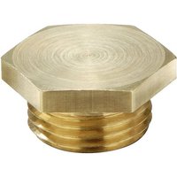 Wiska 50084876 VSM 24 Verschlussschraube schlagfest M24 Metall Natur Wiska 50084876 VSM 24 Verschlussschraube schlagfest M24 Metall Natur von Wiska