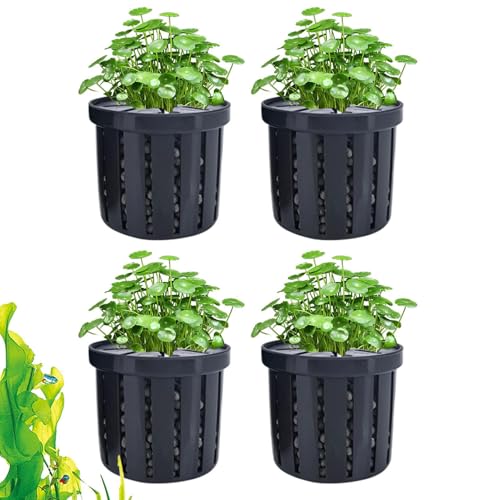 Aquarium Pflanzenhalter, Stabiler Fischtank Netzbecher Für Pflanzen, Dekorativer Wasserpflanzen Halter, Wasserdékor Für Aquarien In Wohnung, Büro Und Restaurant Aquarium Pflanzenhalter, Stabiler Fischtank Netzbecher Für Pflanzen, Dekorativer Wasserpflanzen Halter, Wasserdékor Für Aquarien In Wohnung, Büro Und Restaurant von Wisylizv