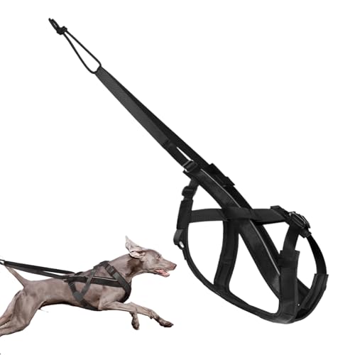 Hundeschlitten Geschirr,Reflektierendes Laufgeschirr Für Hunde | Komfortables Verstellbares Gurtzeug Für Schlitten Training Outdoor Aktivitäten von Wisylizv