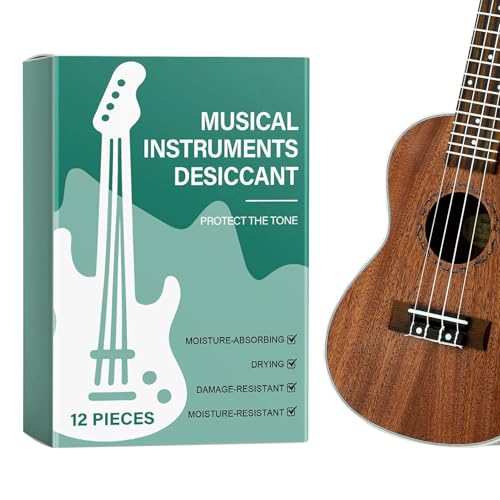 Instrument Entfeuchter Beutel 12 Stück,Trockenmittel Beutel für Musikinstrumente | Feuchteschutz Für Bass Geige Ukulele Wartung Pflege Schutz von Wisylizv