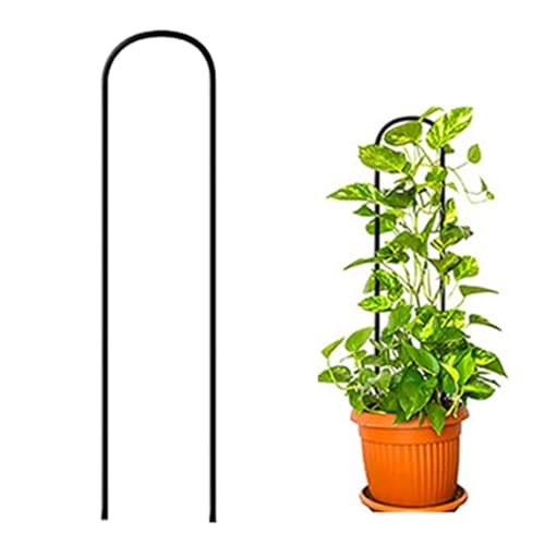Pflanzen Pyliccio - 30 cm Eisenstütze Für Topfpflanzen Mit Schwarzer Beschichtung | Dekorative Überschwemmungs -Anti -Rust -Struktur | Rampicantyp | Elegante Unterstützung Für Gartenblumen -Tomaten von Wisylizv
