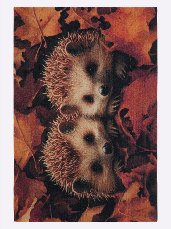 Witt Fußmatte Fußmatte, Höhe: 1 mm, Rutschhemmend, Waschbar Witt Fußmatte Fußmatte, Höhe: 1 mm, Rutschhemmend, Waschbar von Witt