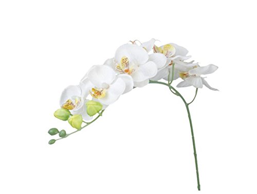 Wiwi.f 1 Stück künstliche Blume Schmetterling Orchidee Home Bouquet Dekoration von Wiwi.f