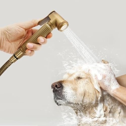 Brausekopf Handbrause für Bidet Messing Duschkopf Bidet-Handbrause mit Druckknopf Toilette Shattaf WC Brause Set für Bad Haustierpflege Pflanzen (Gold) von Wiyuer