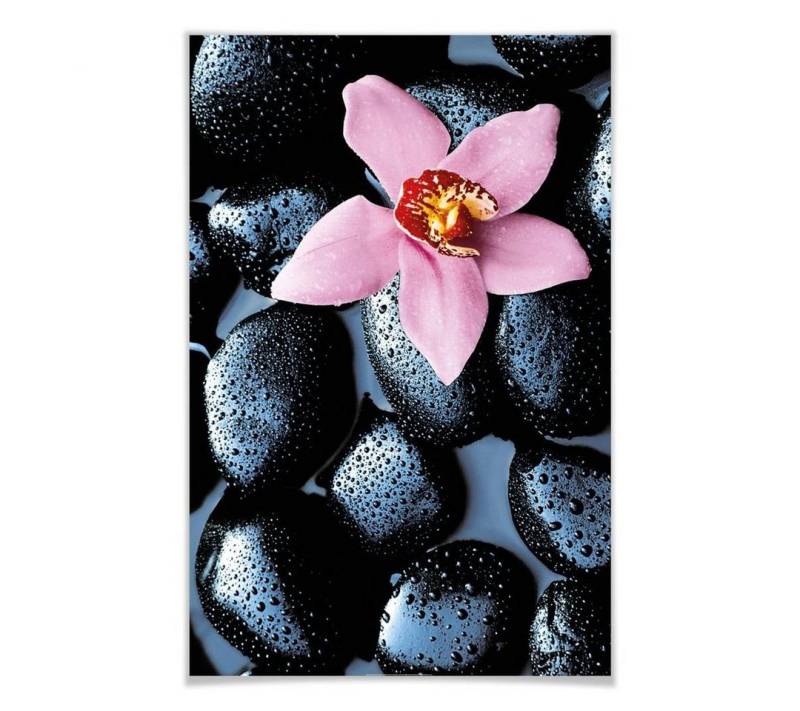 Wizard + Genius Poster XXL Poster Ayurveda Steine Wellness Orchidee Wandposter 115x175 cm, Wohnzimmer Wandbild modern von Wizard + Genius