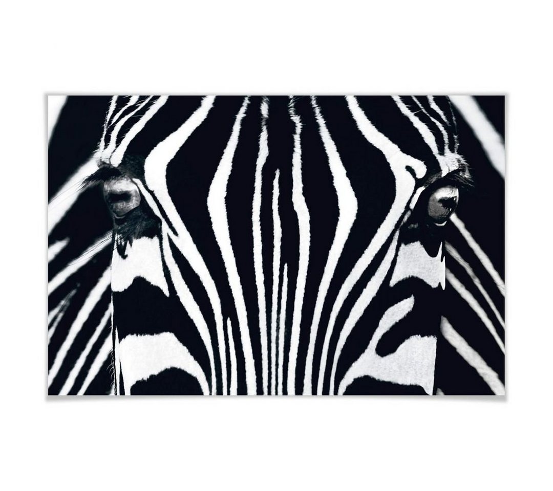 Wizard + Genius Poster XXL Poster Safari Black & White Zebra Pferd Wandposter 175x115 cm, Wohnzimmer Wandbild modern von Wizard + Genius