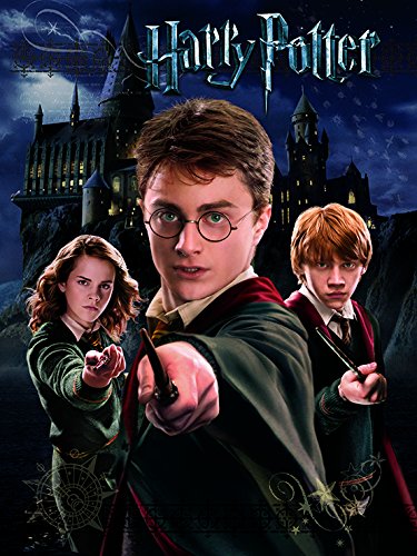 Wizarding World Leinwanddruck, Polyester, Mehrfarbig, 40 x 50 cm von Harry Potter