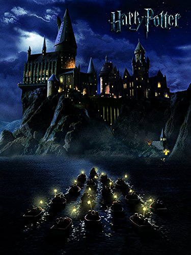 Wizarding World Leinwanddruck, Polyester, Mehrfarbig, 40 x 50 cm von Harry Potter