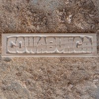 Cowabunga Gravierte Zeichen von WizardsBeardCo