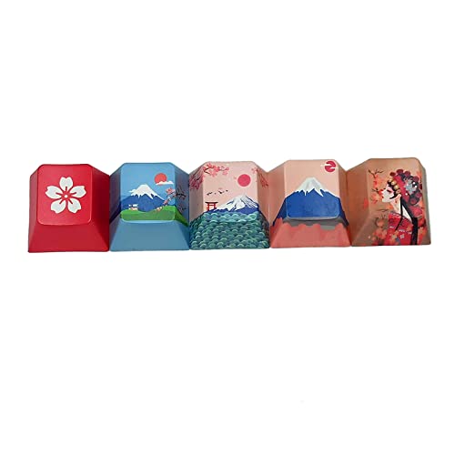 Wjsdsg 5 Stück Mount Personality Keycap Fünfseitige PBT Sublimation Height Mechanische Tastatur Keycap von Wjsdsg